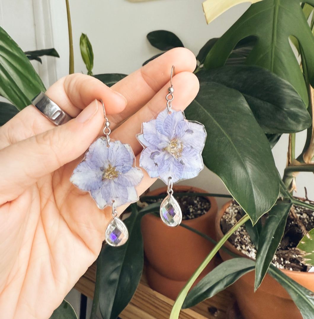 DELPHINIUM