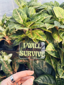 I WILL SURVIVE