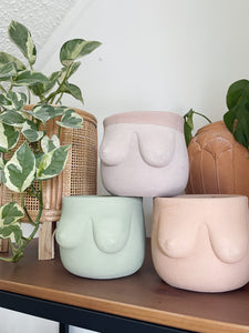 Boob Planters